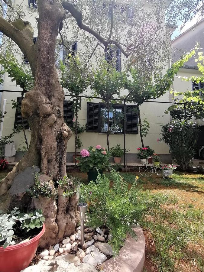 Apartment Oliva *