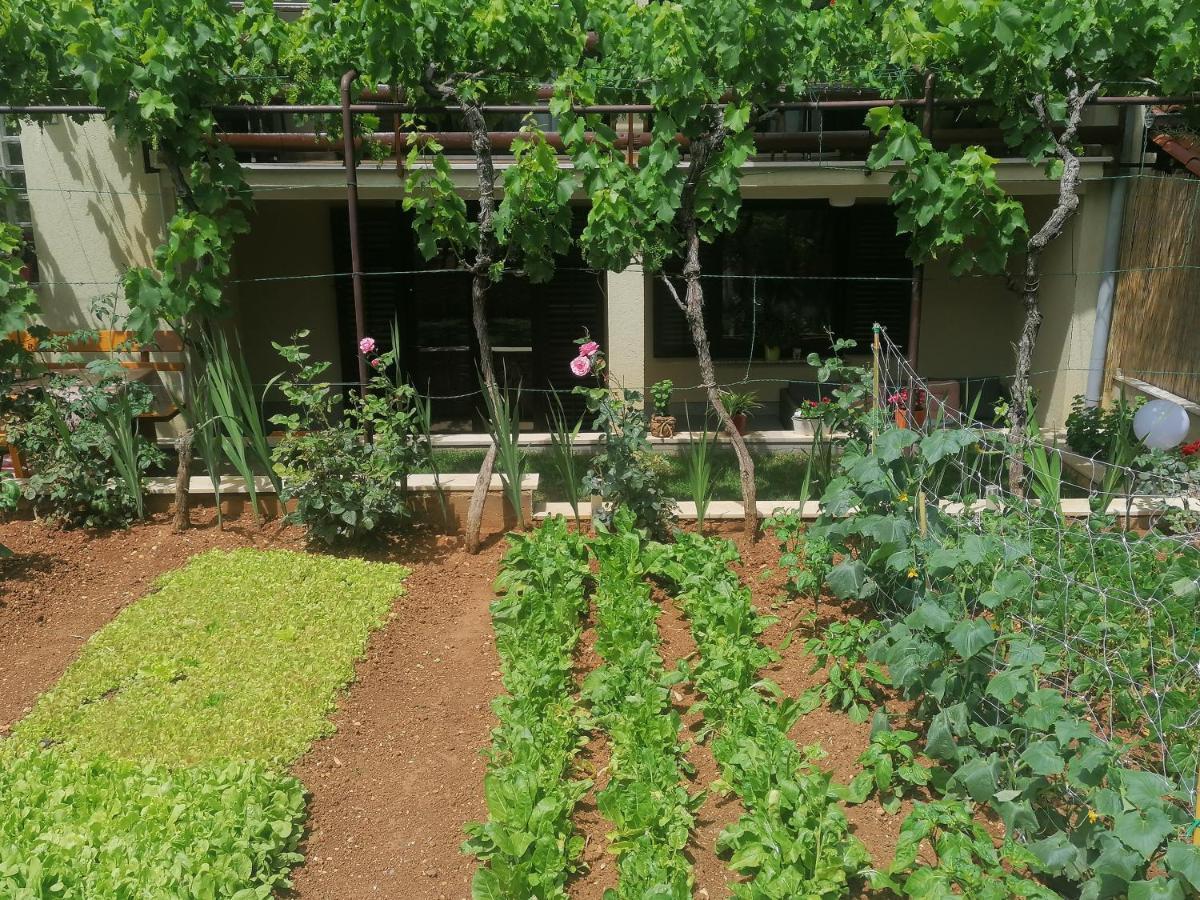 Apartment Oliva *